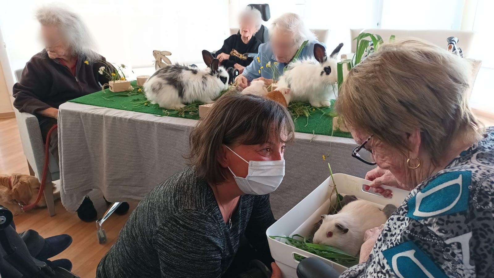 image illustrant le plein contact