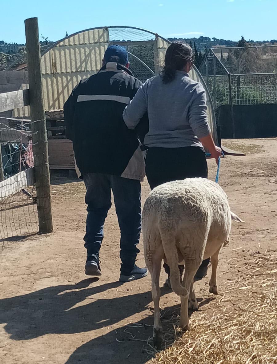 image pour illustrer le désengagement